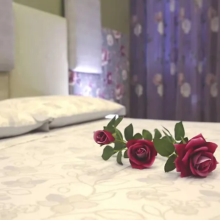 Coccolhouse Bed & Breakfast