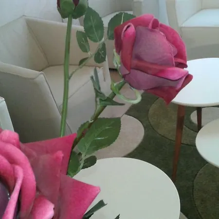 Luxury Coccolhouse לינה וארוחת בוקר *