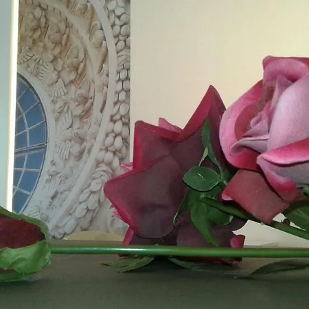 Coccolhouse Bed & Breakfast 4*