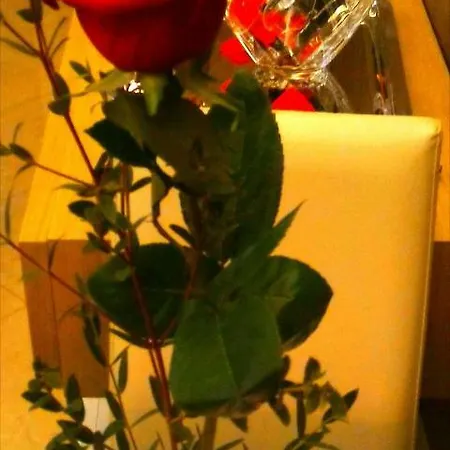 Luxury Coccolhouse לינה וארוחת בוקר