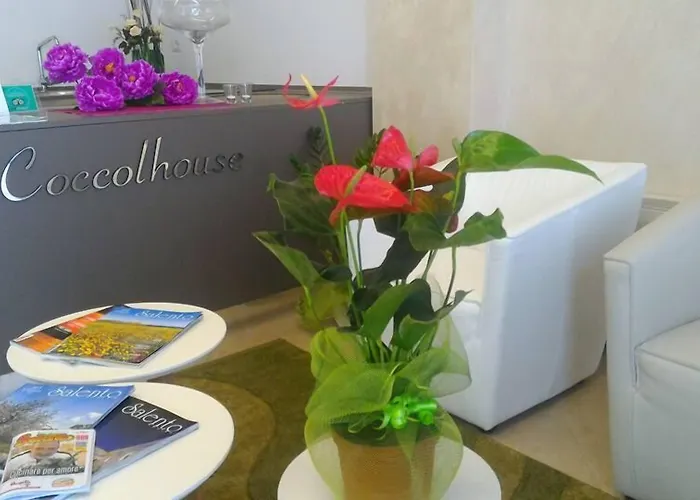 住宿加早餐酒店 Coccolhouse